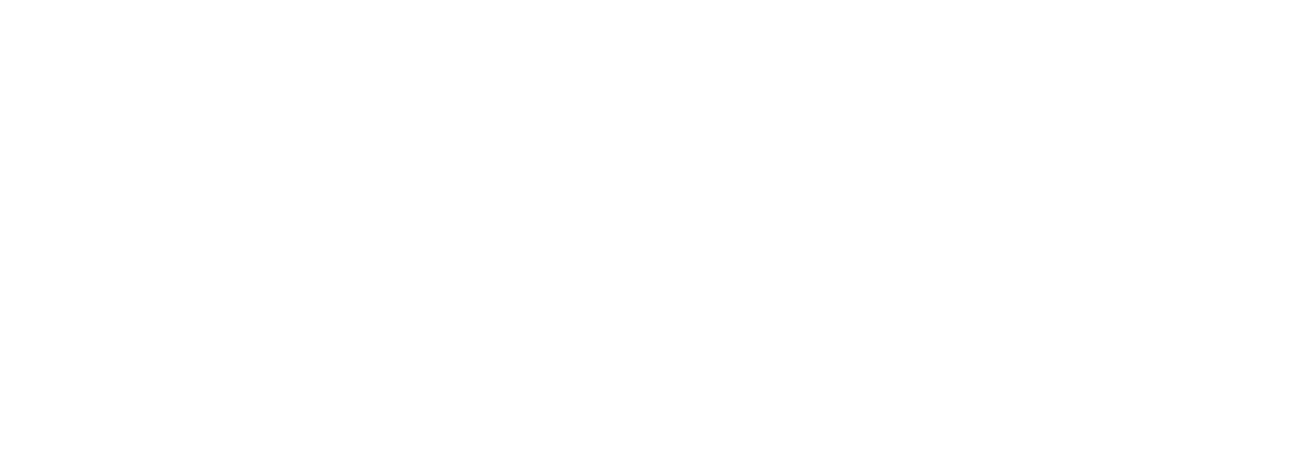 Logo RSD Balung White